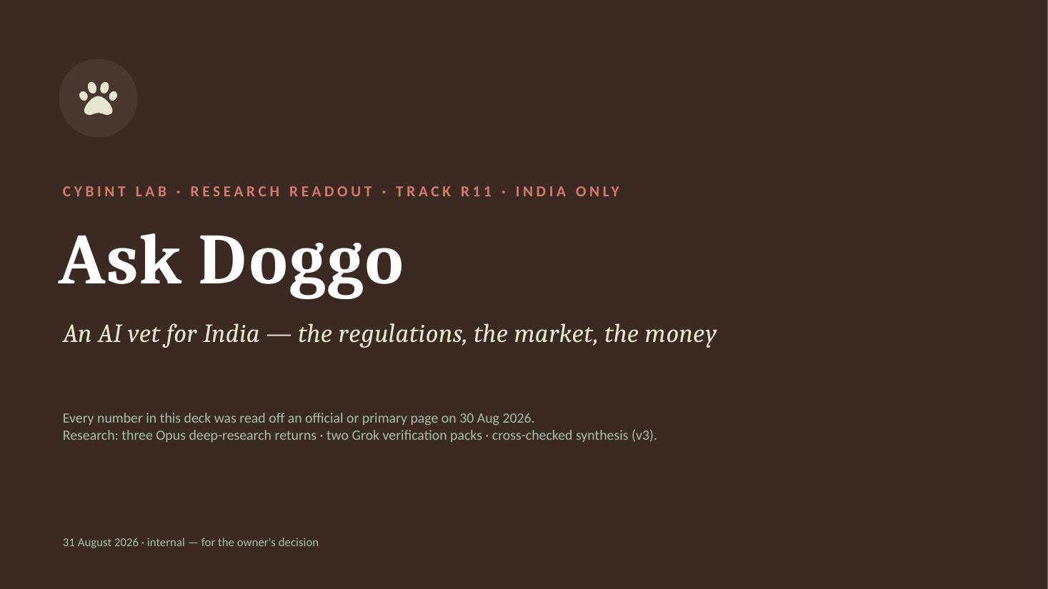 Slide 1 — Ask Doggo title